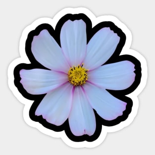 White Cosmo Flower Sticker